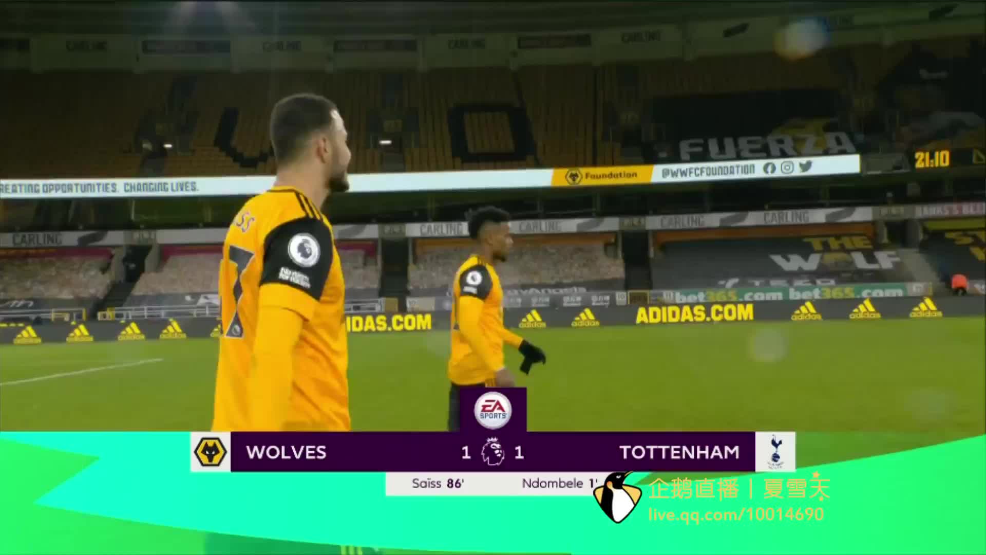 莱顿坚韧的 莱顿坚韧的